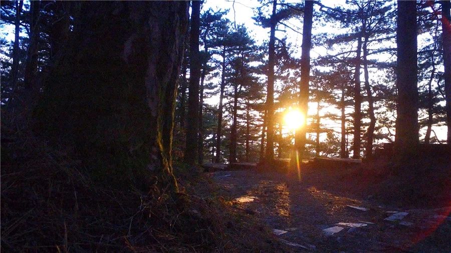 麻城·云夢如故，山里的房子就該有山里的味道
