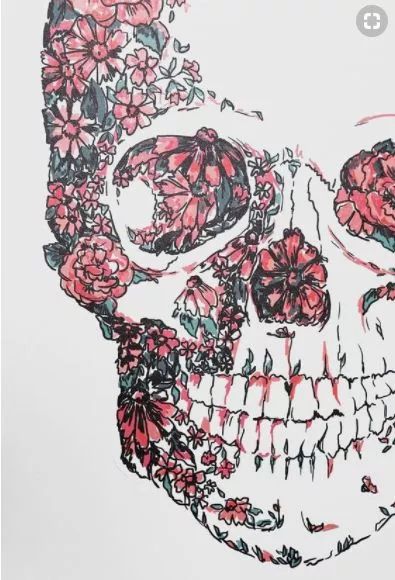 一組手繪骷髏頭插畫，猶如帶刺的玫瑰！