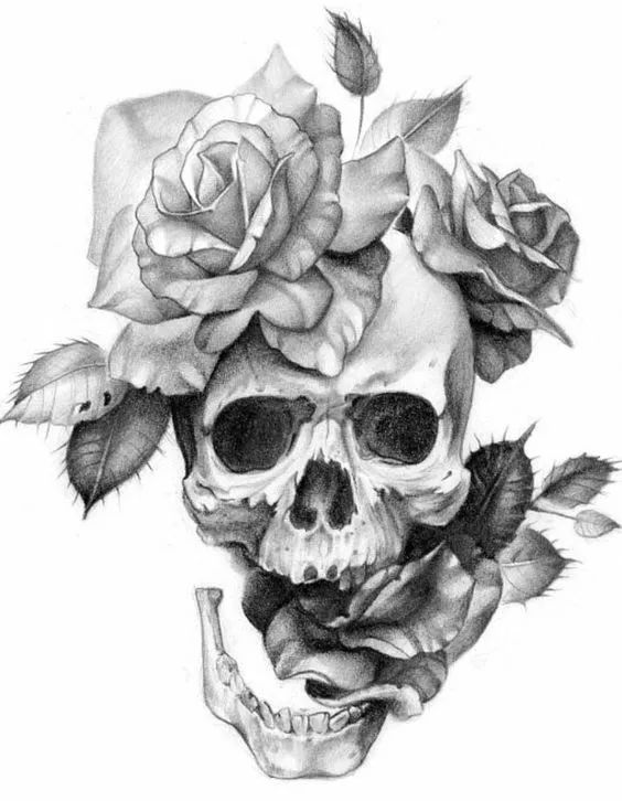 一組手繪骷髏頭插畫，猶如帶刺的玫瑰！