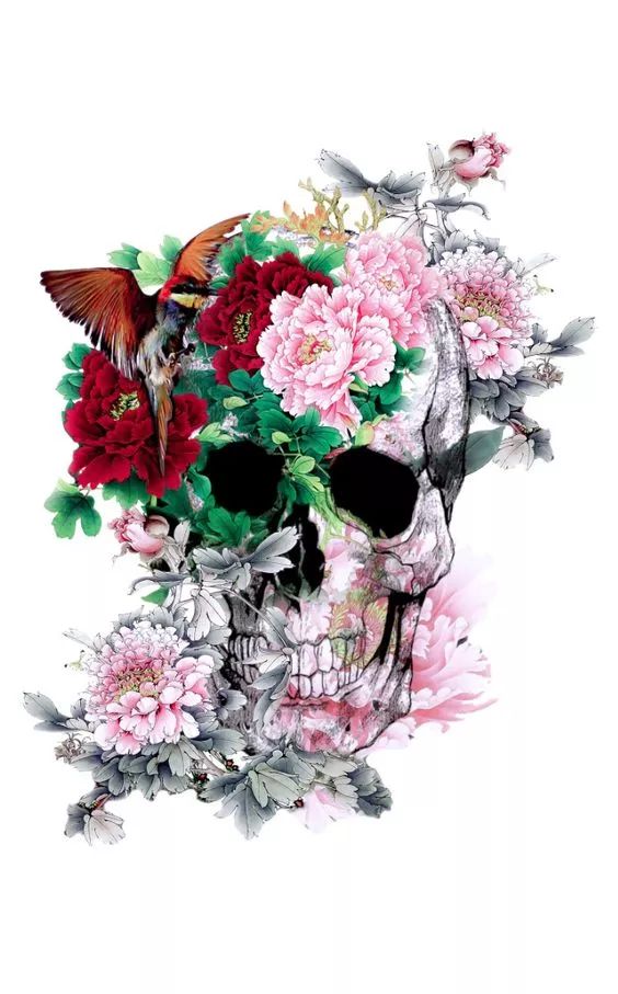 一組手繪骷髏頭插畫，猶如帶刺的玫瑰！