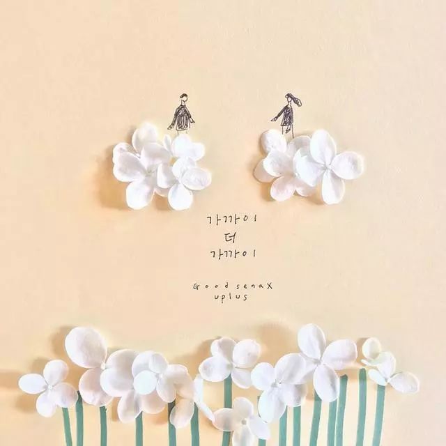 一組創(chuàng)意花瓣插畫，小清新唯美手繪插畫