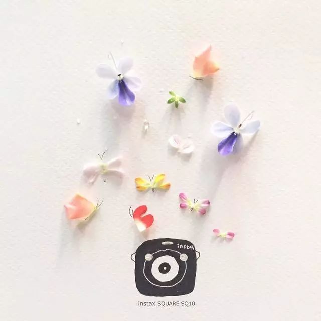 一組創(chuàng)意花瓣插畫，小清新唯美手繪插畫