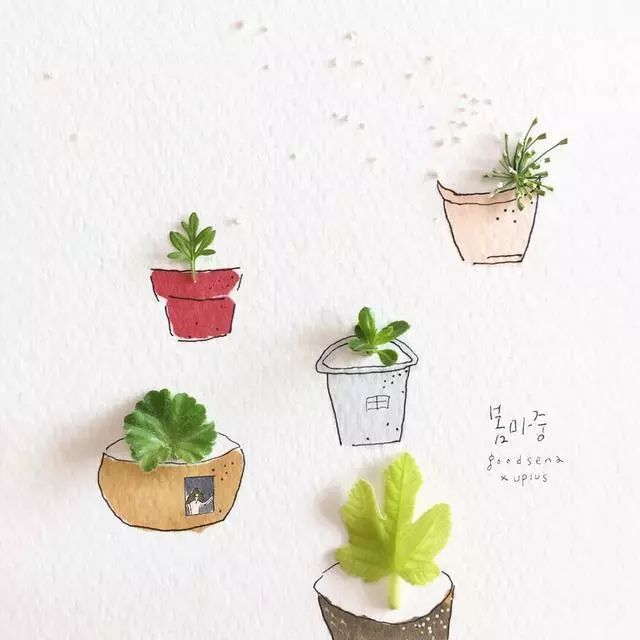 一組創(chuàng)意花瓣插畫，小清新唯美手繪插畫