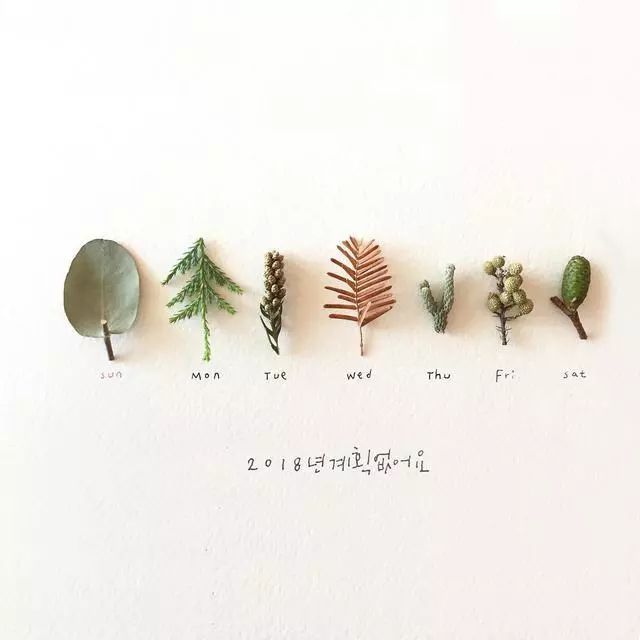 一組創(chuàng)意花瓣插畫，小清新唯美手繪插畫