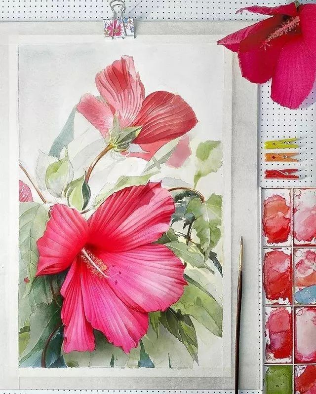 超逼真的水彩手繪插畫，小清新植物插畫圖片