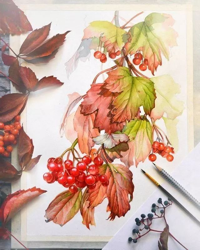 超逼真的水彩手繪插畫，小清新植物插畫圖片