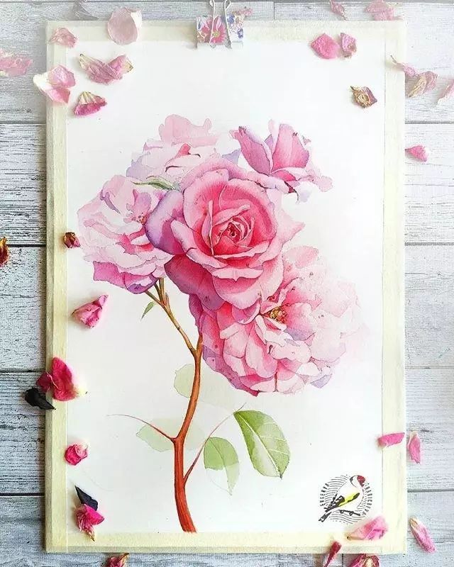 超逼真的水彩手繪插畫，小清新植物插畫圖片