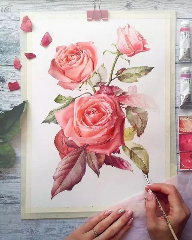 超逼真的水彩手繪插畫，小清新植物插畫圖片