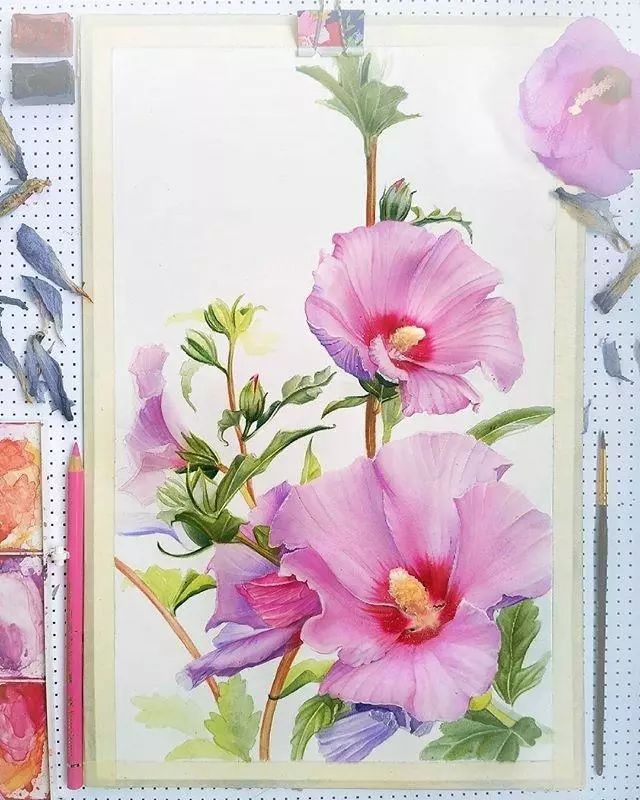 超逼真的水彩手繪插畫，小清新植物插畫圖片