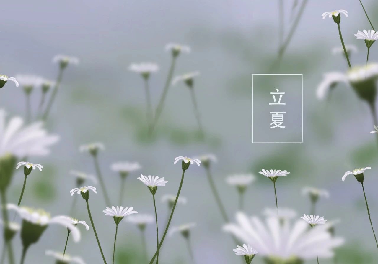 唯美古風句子：最美的十首夏日詩詞!