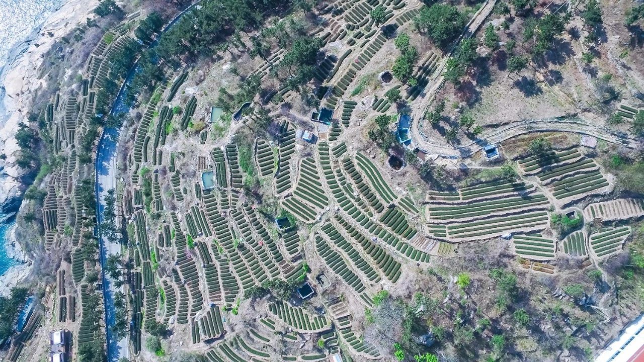 青島·瑞宿海棲，等你來(lái)就讓瑞宿帶你環(huán)游青島