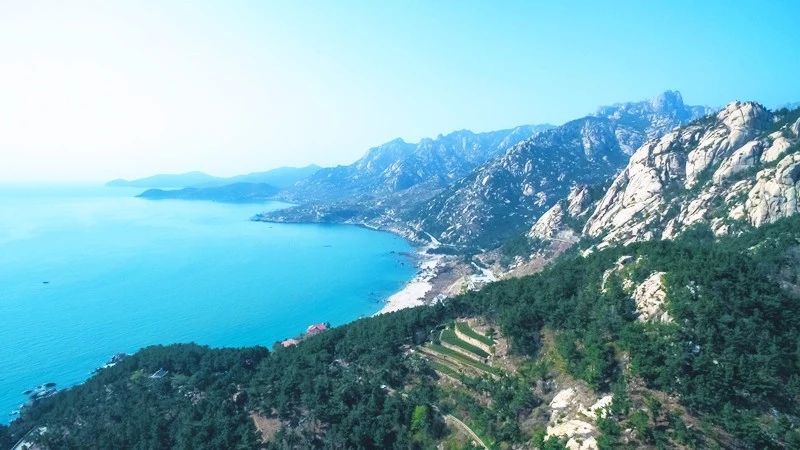 青島·瑞宿海棲，等你來(lái)就讓瑞宿帶你環(huán)游青島