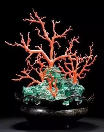 驚艷世界的故宮清代盆景，美哉!