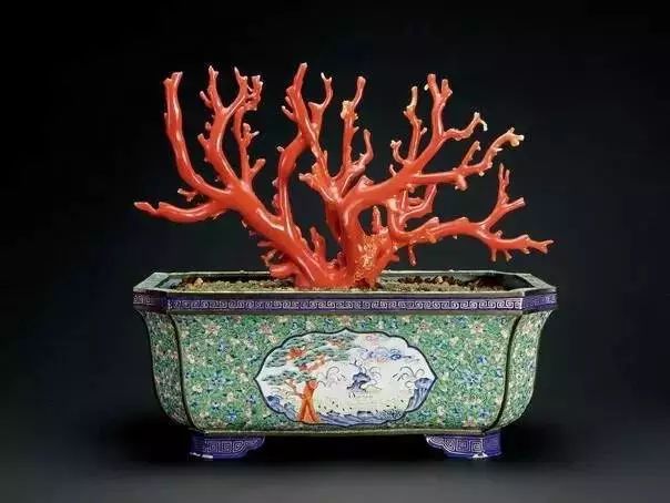 驚艷世界的故宮清代盆景，美哉!