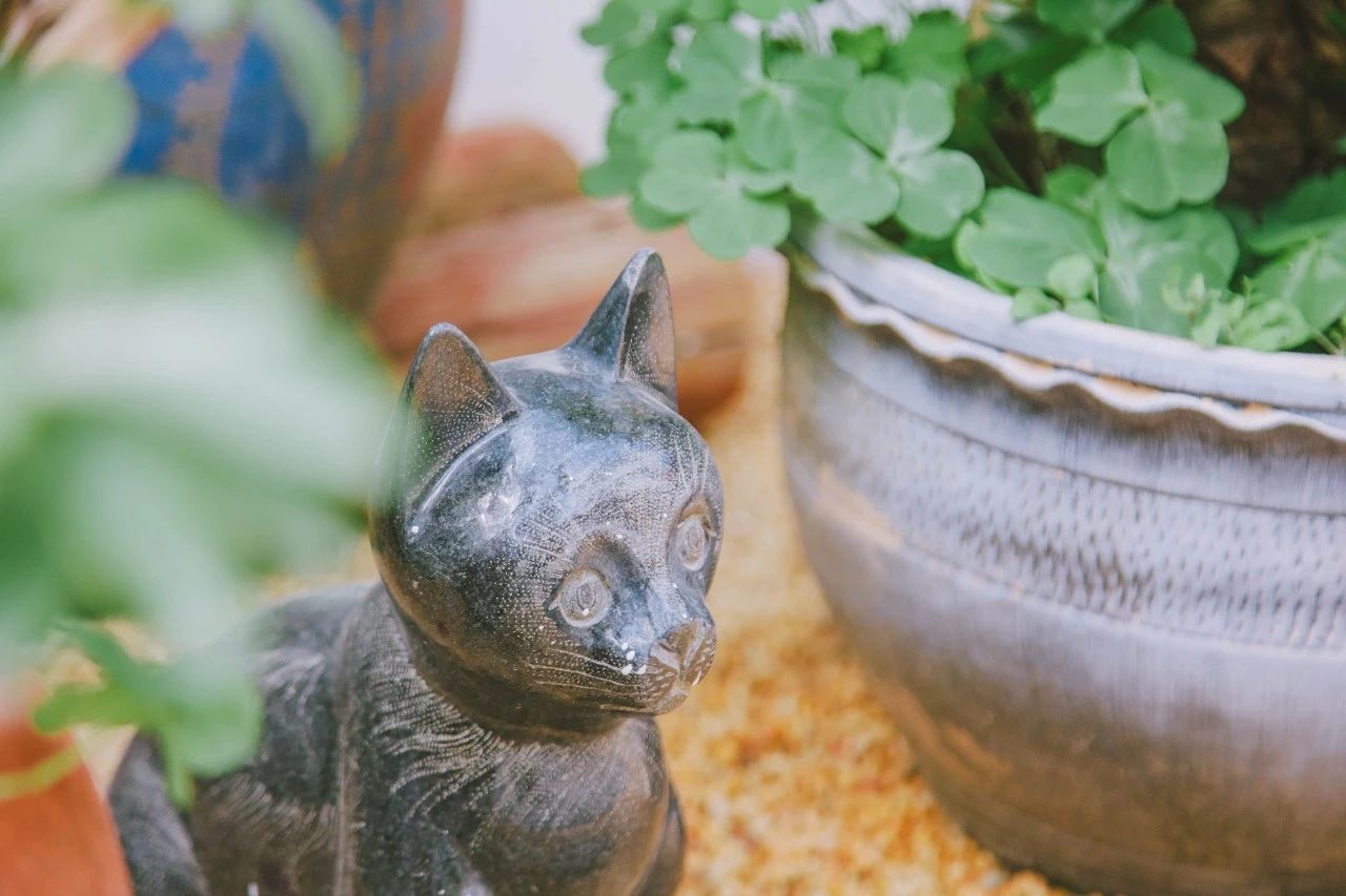 廈門(mén)·花青宿，一場(chǎng)風(fēng)格迥異遠(yuǎn)古部落的夢(mèng)