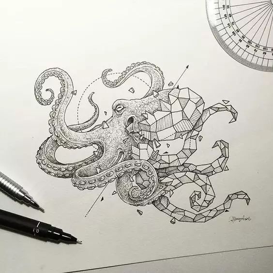 驚嘆的動(dòng)物手繪插畫(huà)：學(xué)霸與藝術(shù)的完美融合