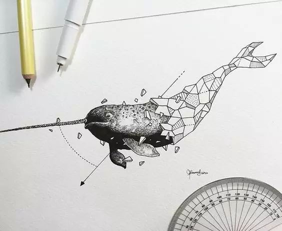 驚嘆的動物手繪插畫：學霸與藝術的完美融合