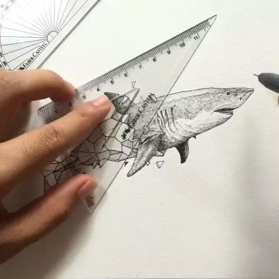 驚嘆的動物手繪插畫：學霸與藝術的完美融合