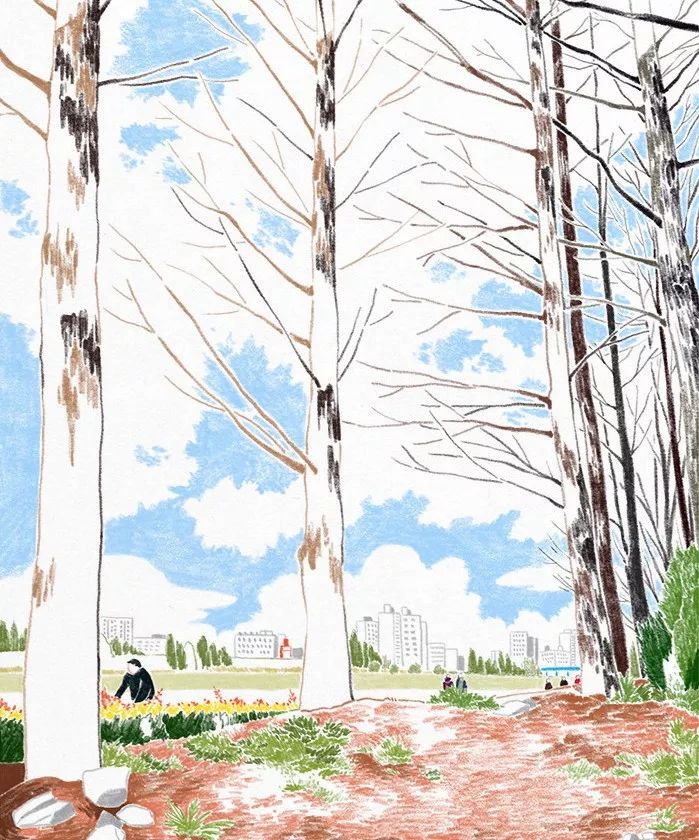 一組小清新彩鉛插畫，唯美的色彩世界!