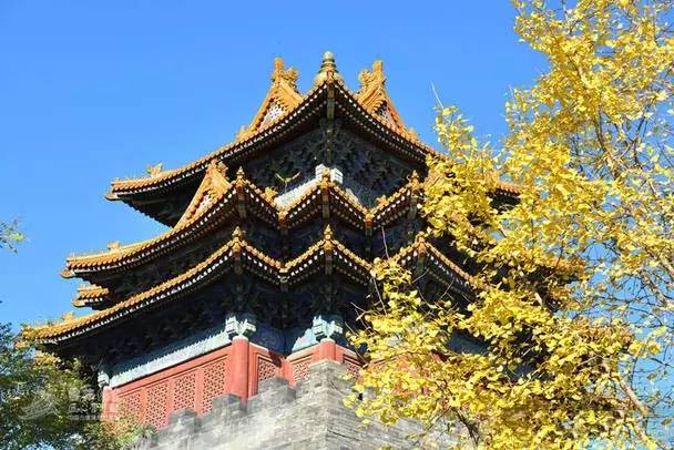 最美風(fēng)景故宮最新艷照，美到爆！