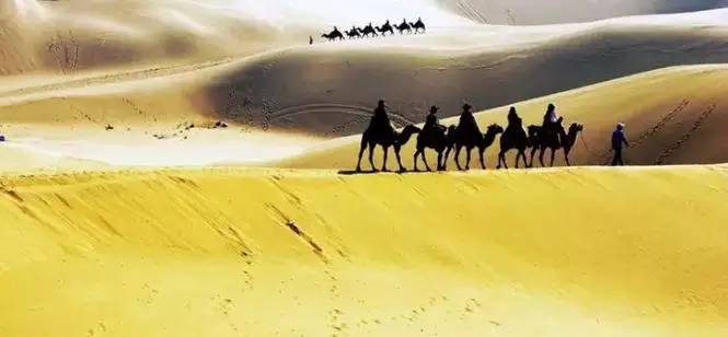 《天邊的駱駝》，震撼的沙漠風(fēng)景之美!