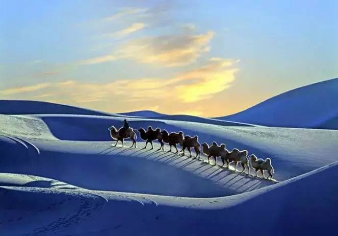 《天邊的駱駝》，震撼的沙漠風(fēng)景之美!