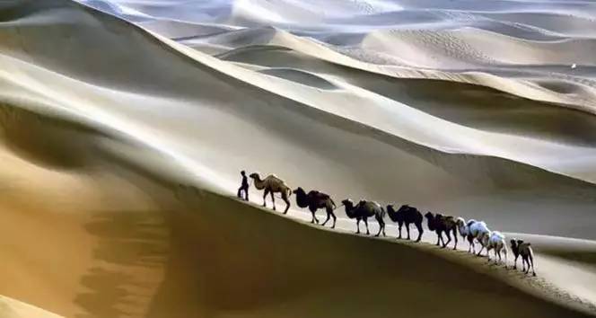 《天邊的駱駝》，震撼的沙漠風(fēng)景之美!