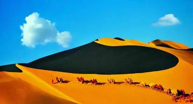 《天邊的駱駝》，震撼的沙漠風(fēng)景之美!