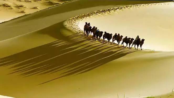 《天邊的駱駝》，震撼的沙漠風(fēng)景之美!