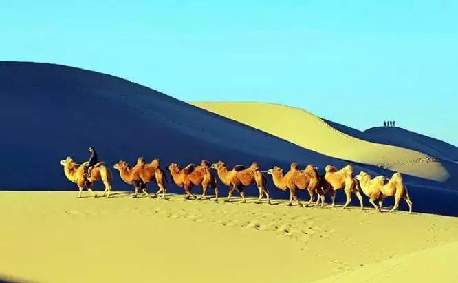 《天邊的駱駝》，震撼的沙漠風(fēng)景之美!