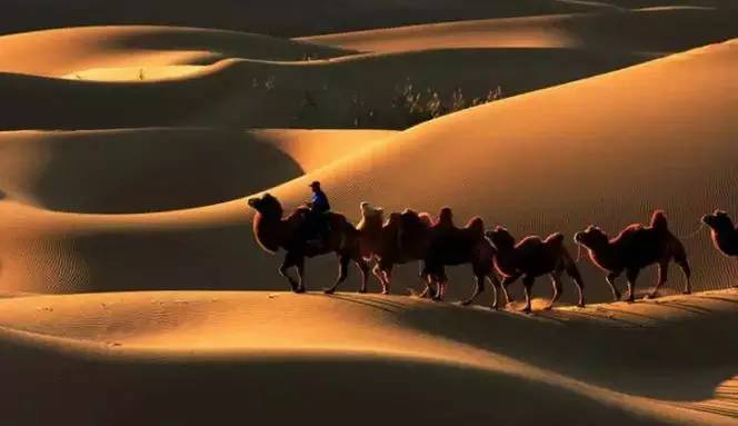 《天邊的駱駝》，震撼的沙漠風(fēng)景之美!