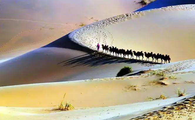 《天邊的駱駝》，震撼的沙漠風(fēng)景之美!