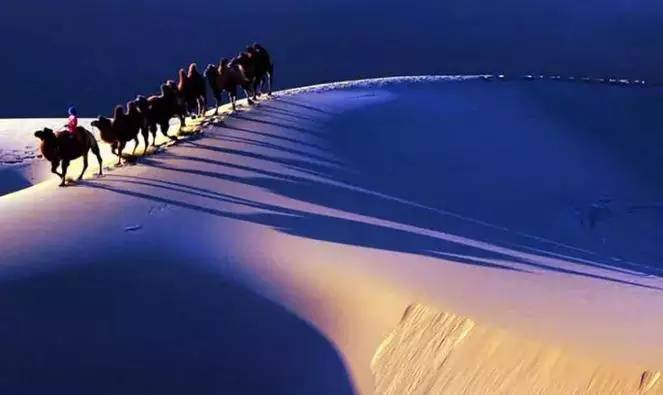 《天邊的駱駝》，震撼的沙漠風(fēng)景之美!