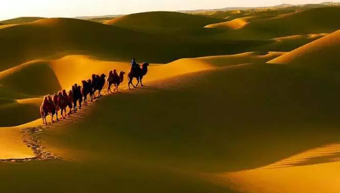 《天邊的駱駝》，震撼的沙漠風(fēng)景之美!