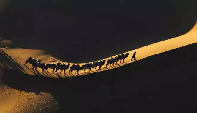 《天邊的駱駝》，震撼的沙漠風(fēng)景之美!