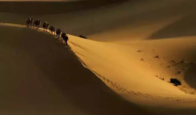 《天邊的駱駝》，震撼的沙漠風(fēng)景之美!