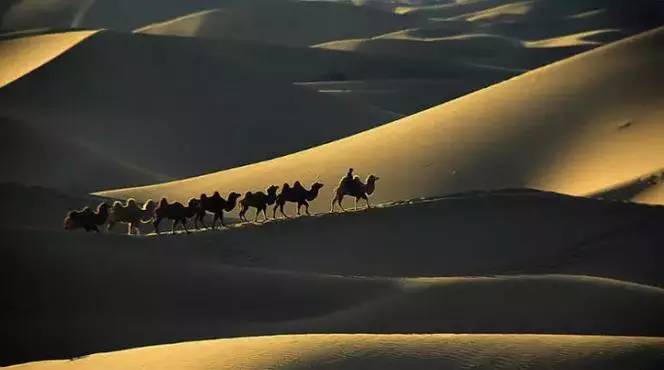《天邊的駱駝》，震撼的沙漠風(fēng)景之美!