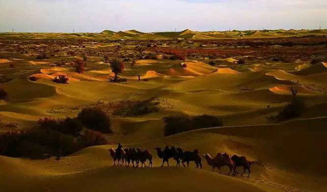 《天邊的駱駝》，震撼的沙漠風(fēng)景之美!
