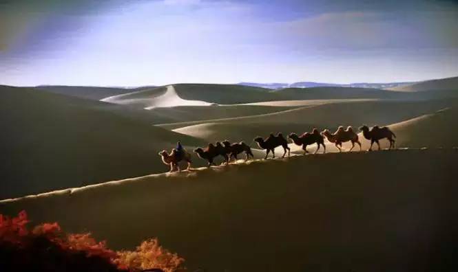 《天邊的駱駝》，震撼的沙漠風(fēng)景之美!