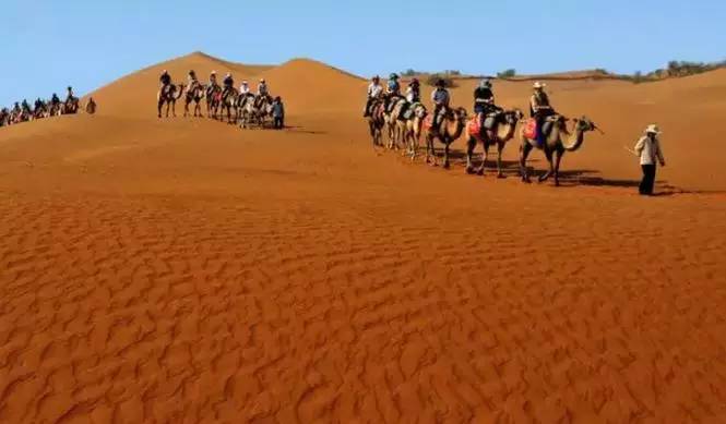 《天邊的駱駝》，震撼的沙漠風(fēng)景之美!