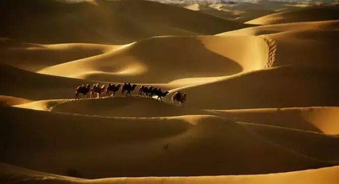 《天邊的駱駝》，震撼的沙漠風(fēng)景之美!