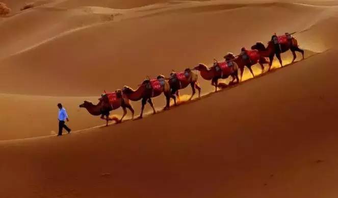 《天邊的駱駝》，震撼的沙漠風(fēng)景之美!