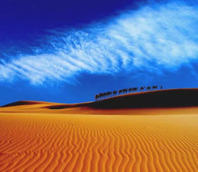 《天邊的駱駝》，震撼的沙漠風(fēng)景之美!