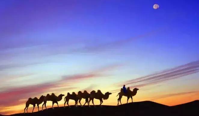 《天邊的駱駝》，震撼的沙漠風(fēng)景之美!