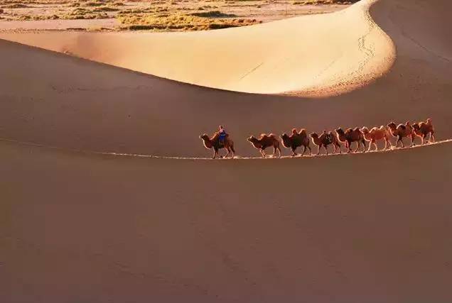 《天邊的駱駝》，震撼的沙漠風(fēng)景之美!