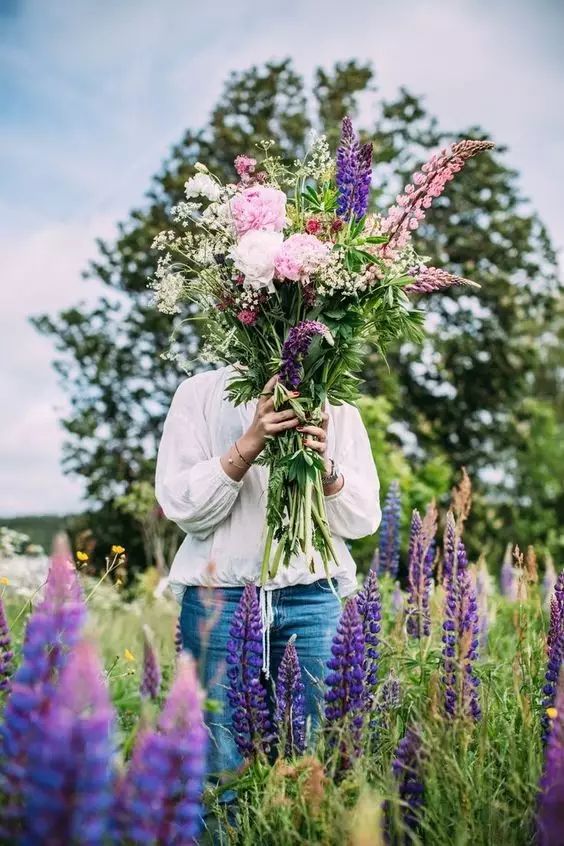最美風(fēng)景《魯冰花》，送給母親的花！