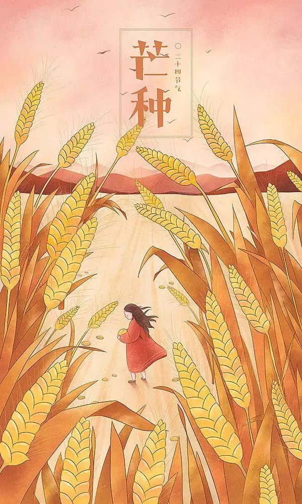 治愈系畫(huà)風(fēng)插畫(huà)：一組二十四節(jié)氣插畫(huà)