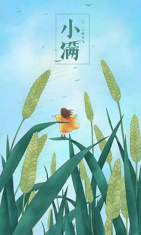治愈系畫(huà)風(fēng)插畫(huà)：一組二十四節(jié)氣插畫(huà)