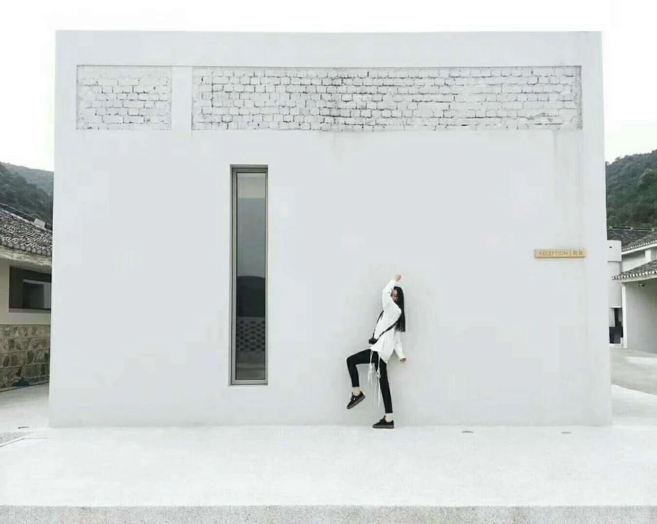 九熹·大樂之野，流水的大樂之野鐵打的小白墻