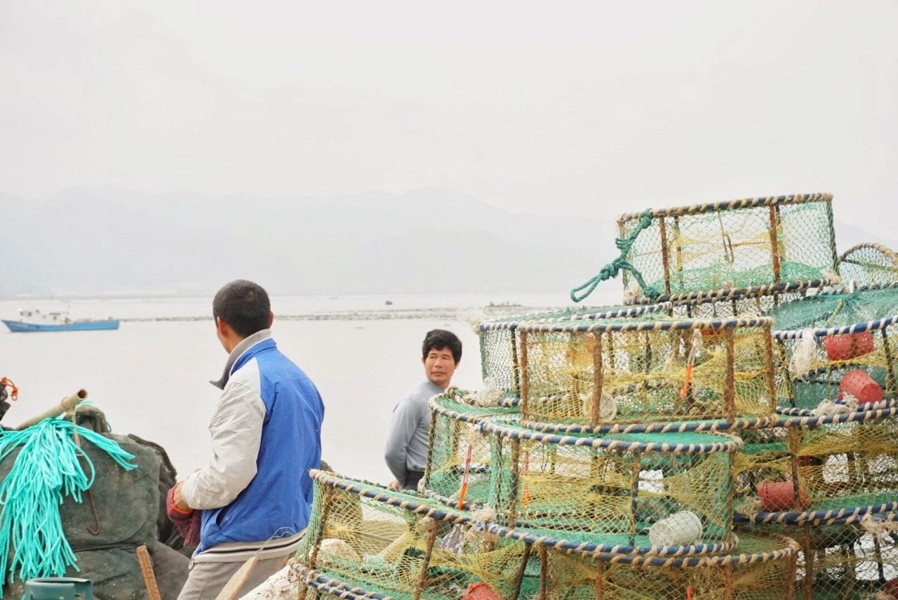 九熹·大樂之野，流水的大樂之野鐵打的小白墻